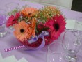 /album/formatura/gerberas-2-jpg/